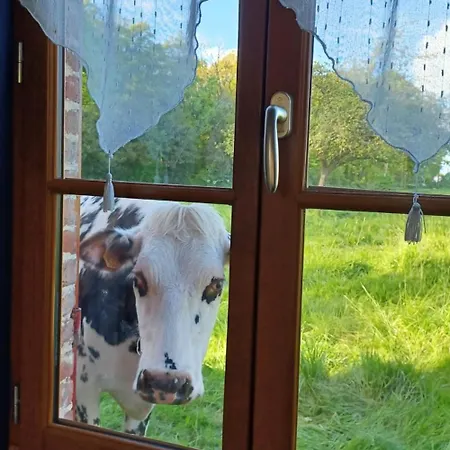 La Petite Cauvinière Hébergement de vacances Saint-Aubin-de-Bonneval