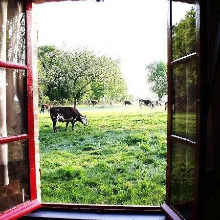 La Petite Cauviniere