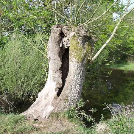 La Petite Cauviniere Saint-Aubin-de-Bonneval