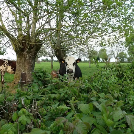 La Petite Cauviniere *