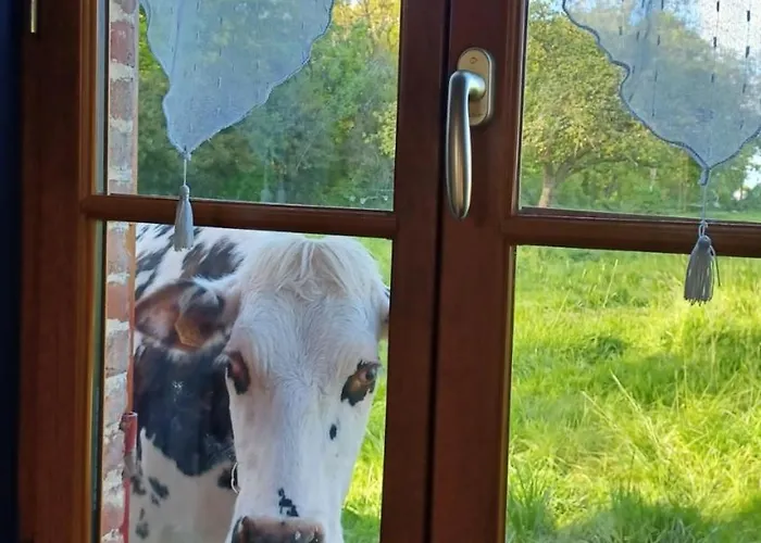 La Petite Cauviniere Сasa de vacaciones Saint-Aubin-de-Bonneval