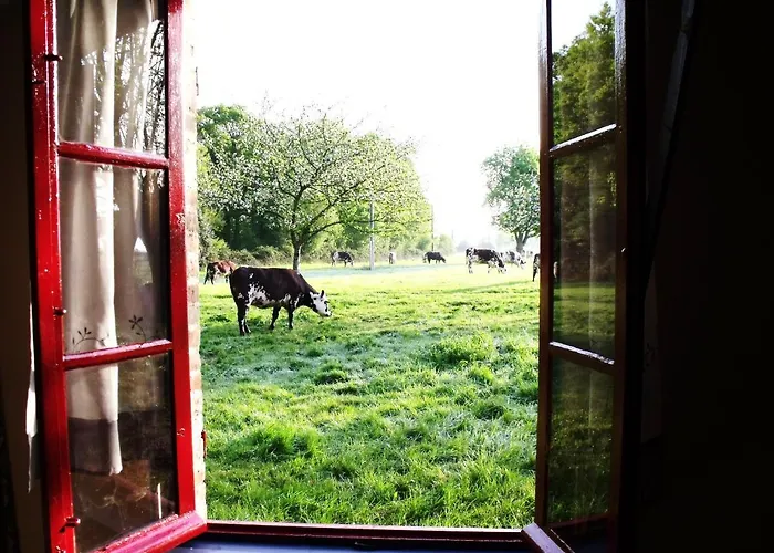 La Petite Cauviniere