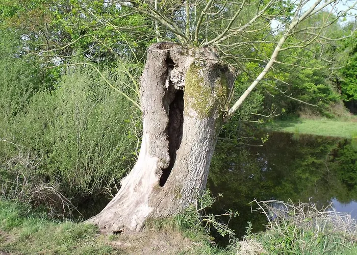 La Petite Cauviniere Saint-Aubin-de-Bonneval
