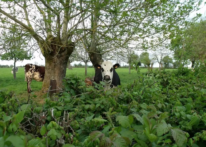 La Petite Cauviniere *